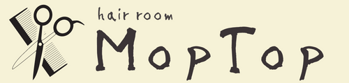 hairroom MopTop